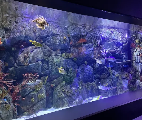 acuario