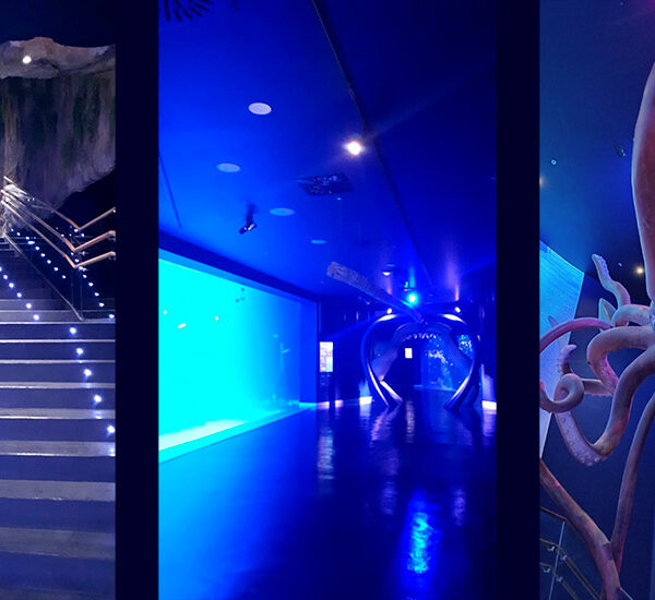 Iluminación Atlantis